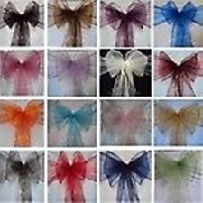 BRAND NEW STUNNING ORGANZA