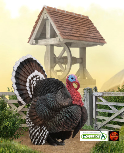 Bronze turkey farm - bronze,