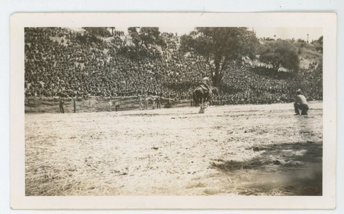 Vintage photo historic gene - photo,
