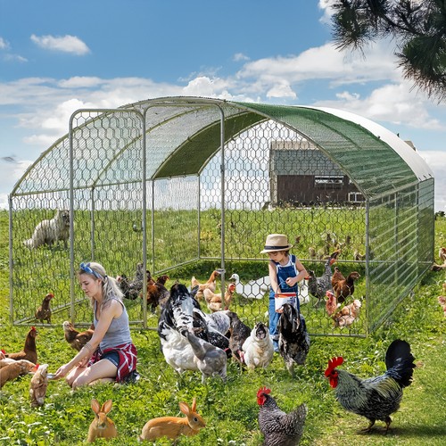 Walk chicken run coop cage - chicken,