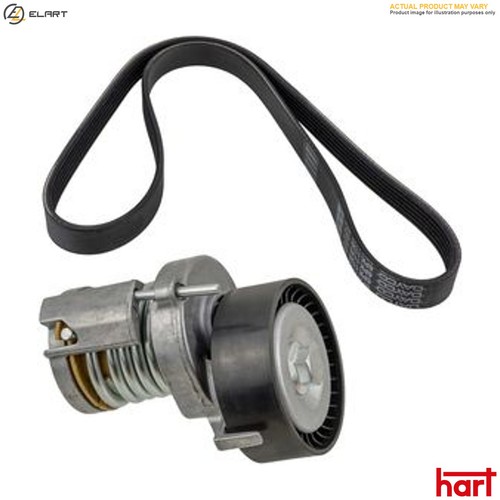 Belt tensioner vribbed - vribbed,