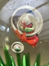 Murano Glass Paperweight