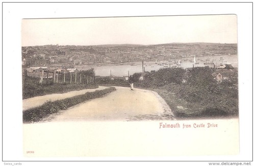 Falmouth from castle - falmouth,