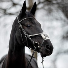 Horze Valencia Figure 8 Bridle
