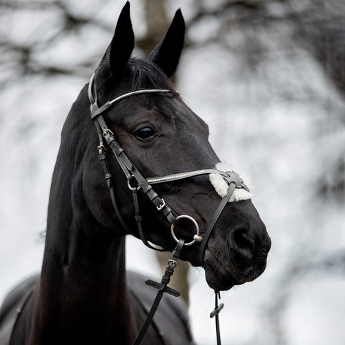 Horze valencia figure - valencia, bridle