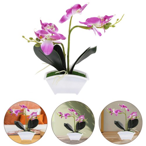 Orchid flower decoration - orchid, fake