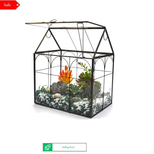 Large glass house shape - shape, plant