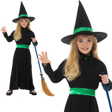 Wicked Witch Costume + Hat