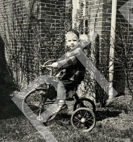 Adorable little boy riding old - little,