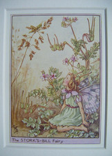 Vintage Flower Fairies Print & Mount Stork's Bill Fairy Cicely Barker c1930's 