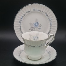 Paragon morning rose - paragon,