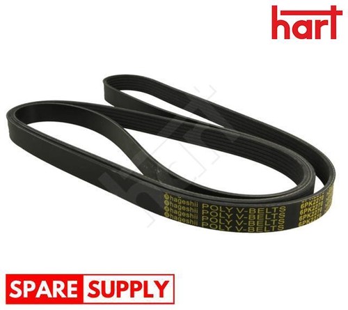 Ribbed belt for - belt,