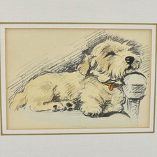 Lucy Dawson Sealyham Terrier