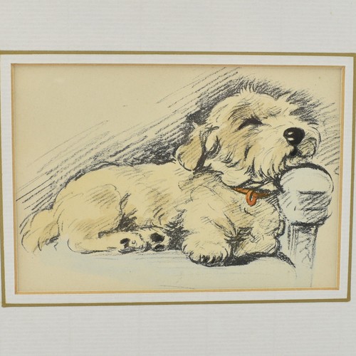 Lucy dawson sealyham terrier - sealyham,