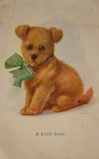 Charming Puppy Dog Postcard  - "A Little Irish"
