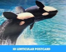 3D Lenticular Postcard