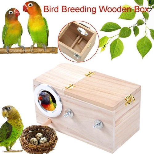 Bird breeding box cage nest - bird,