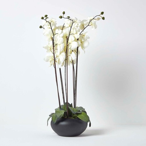 Large oriental style - oriental, cream