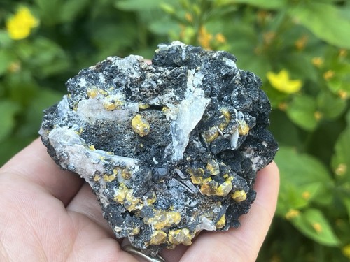 Mimetite and campylite - mimetite,