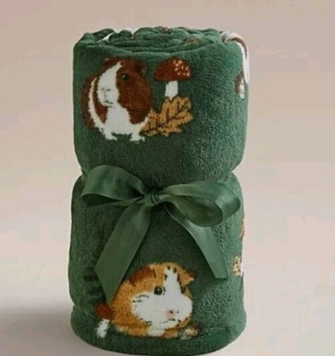 Green guinea pig - pig, blanket