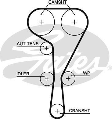 Genuine gates powergrip timing - gates,
