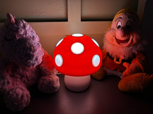 Mushroom lamp night - mushroom, light