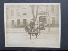 Boys with Bicycle & Goat Cart