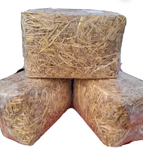 1kg straw bales perfect for