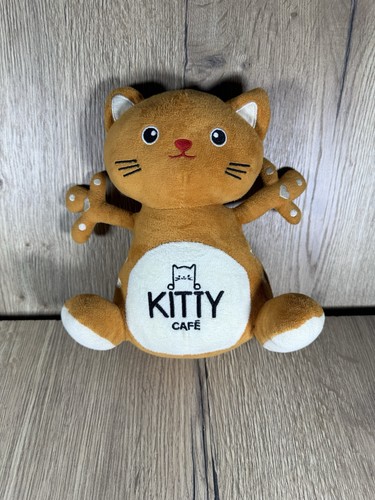 Kitty cafe teddy - cafe,