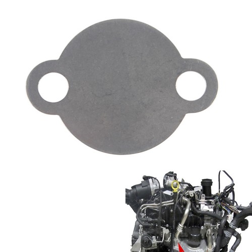 Egr valve blank plate - valve, for