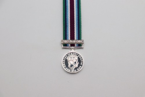 Wider service medal miniature - medal,