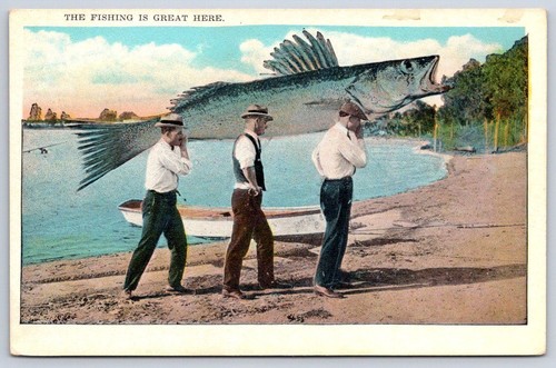 Giant fish big - , catch