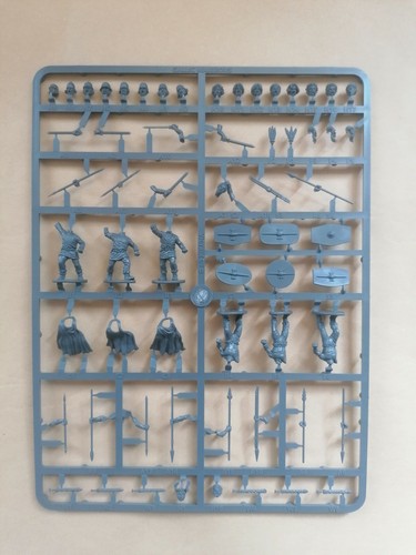 Gallic warriors sprue - gallic,