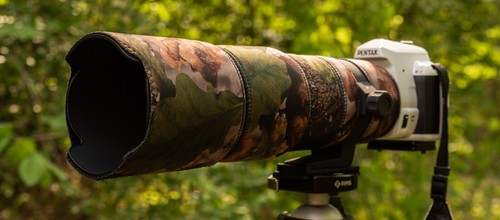 Sigma 100 300mm dg hsm - f/4, ex