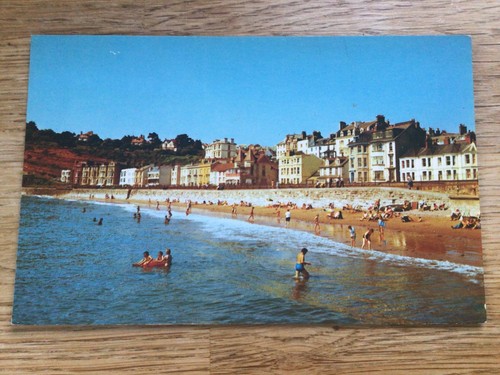 The beach dawlish - beach,, dawlish,