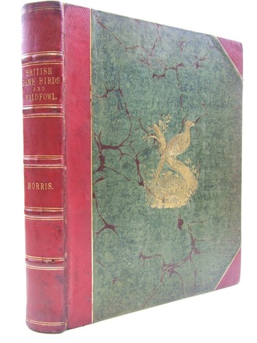 British game birds and - british,