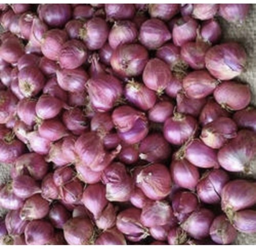 Fresh small onion indian - fresh,