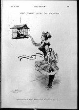 Old Light Side Nature Lady Bird Cage Prize Greyhounds Mrs Downes 1898 Victorian