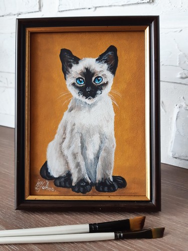 Siamese kitten blue eyes - blue,