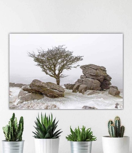 Dartmoor prints hawthorn - prints,