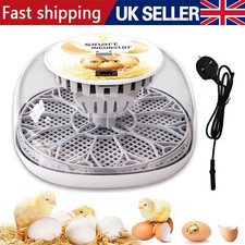 Digital 12-Eggs Incubator