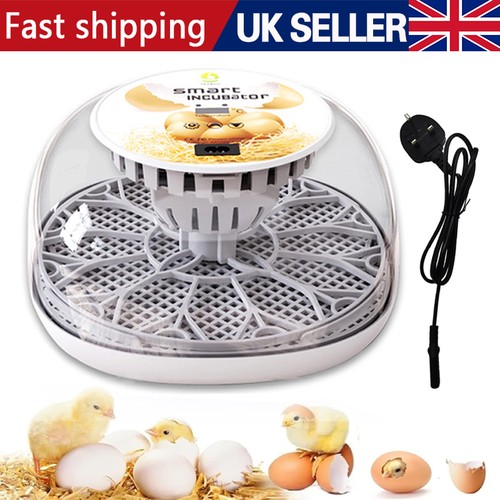 Digital eggs incubator - digital,