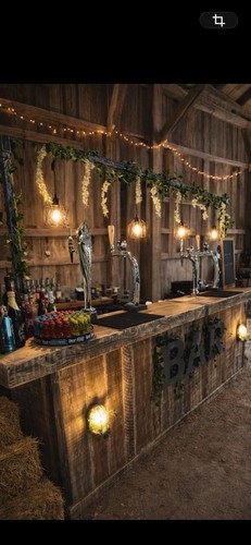 10ft mobile bar - mobile,