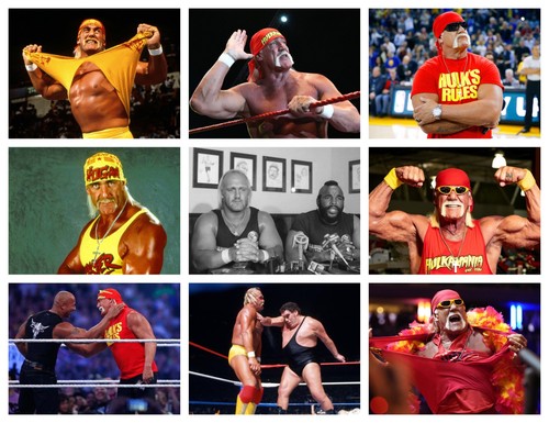 Hulk hogan wrestling - wrestling,