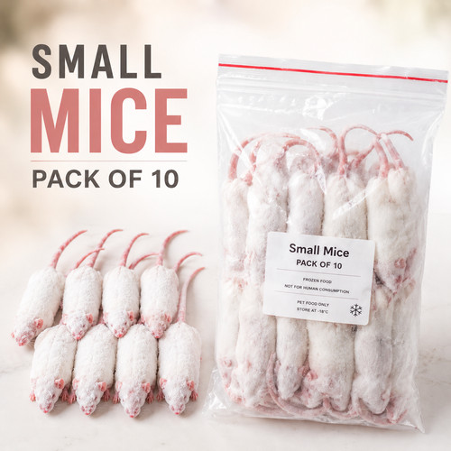 Frozen mice snake food - food, pack