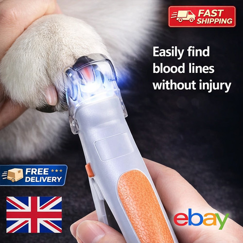 Dog cat pet nail - cat,