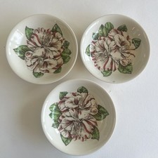 Vintage johnson bros - bros, camellia