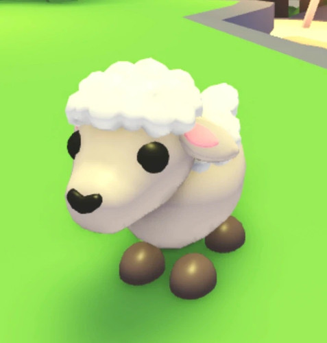 Lamb adopt from - lamb,