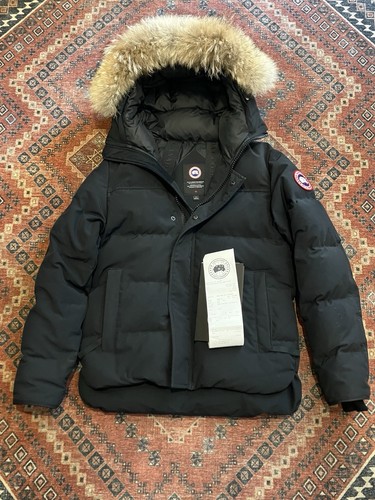 Newly new canada goose - newly,