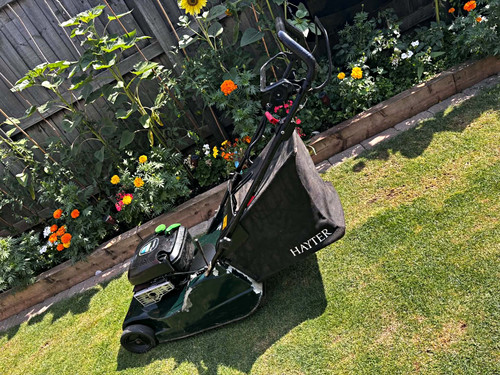 Hayter harrier petrol push - hayter,